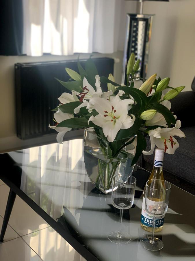 Willa Buk Apartamenty 米兹多洛杰 外观 照片